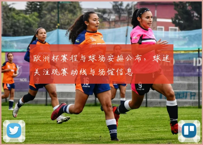 欧洲杯赛程与球场安排公布，球迷关注观赛动线与场馆信息