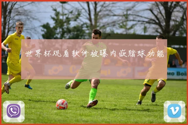 世界杯观看软件被曝内嵌赌球功能