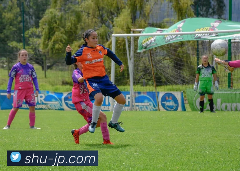 星空体育首页官网发展历程